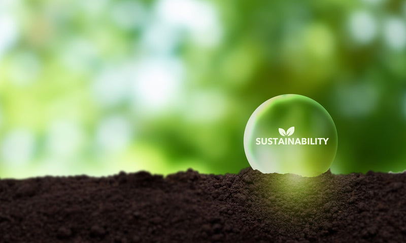 Sustainability in Liquidation: How Buying Liquidated Merchandise Helps Reduce Waste