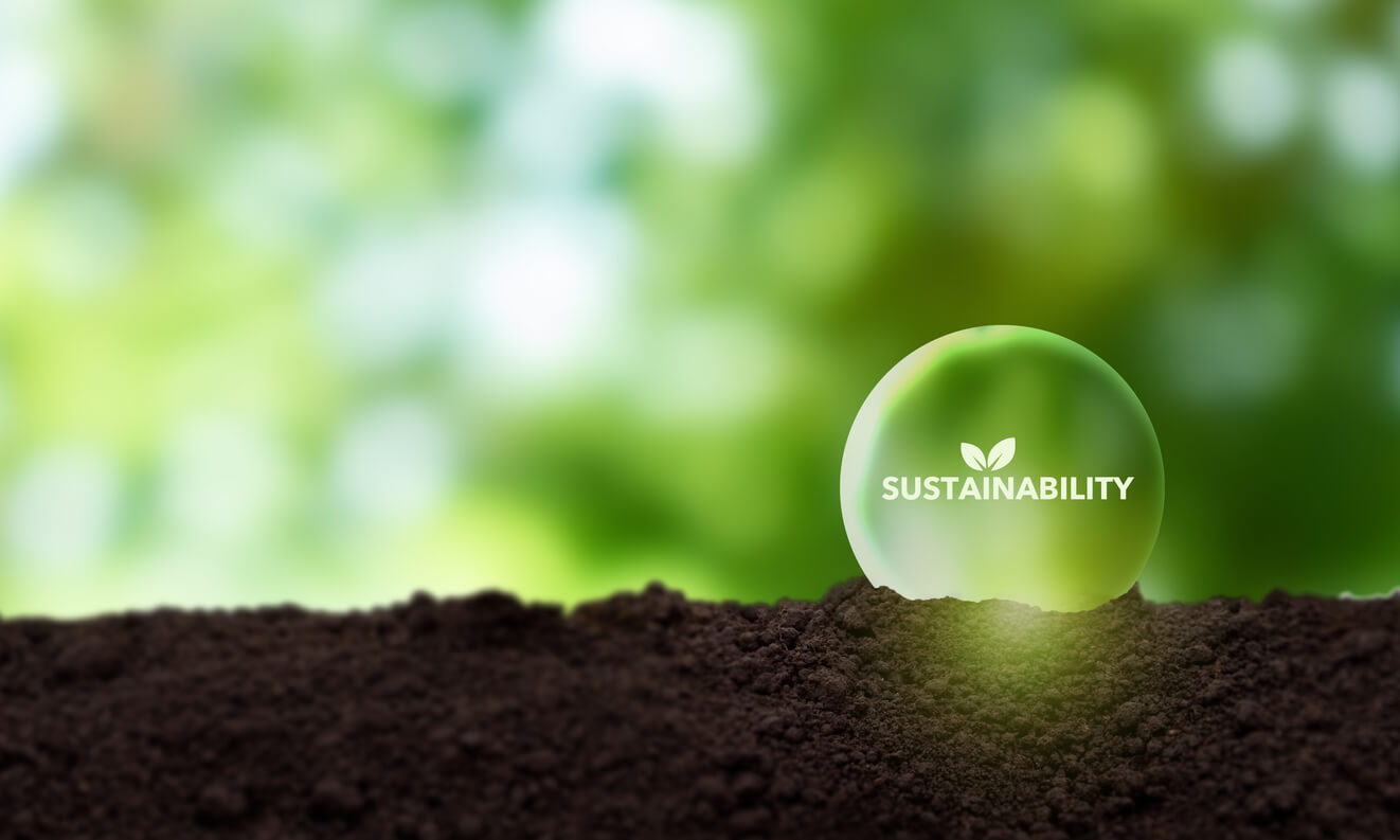 Sustainability in Liquidation: How Buying Liquidated Merchandise Helps Reduce Waste