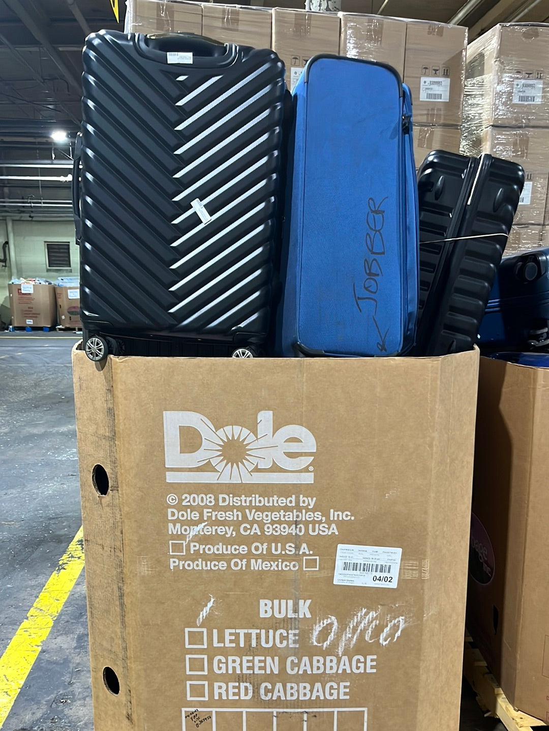 Luggage Pallet 31019609